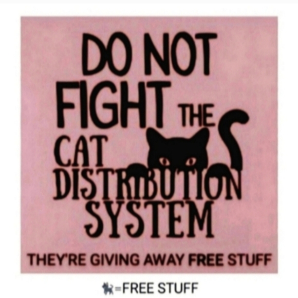 Big Aqua Blue Turquoise Triple Flower Blossom Earrings 3D Large Floral 3 Flowers - Picture 7 of 7